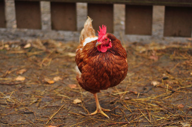 Similar image 22072236