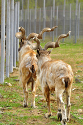 Similar image 22072237