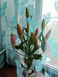 Similar image 22066618