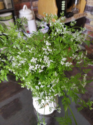 Similar image 22066620