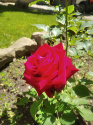 Similar image 22066624