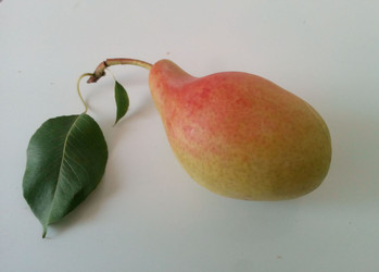 Similar image 22066629