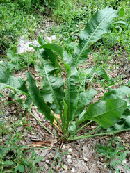 Similar image 22066633