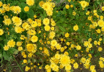 Similar image 22066634