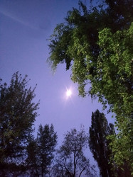 Similar image 22066638