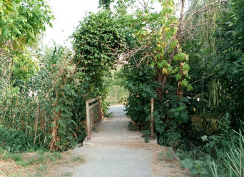 Similar image 22066639