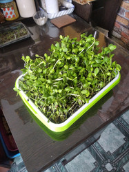 Similar image 22066644