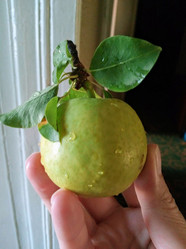 Similar image 22066645