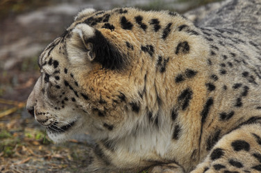 Similar image 22072238