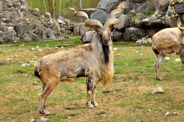 Similar image 22072239