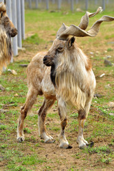 Similar image 22072240