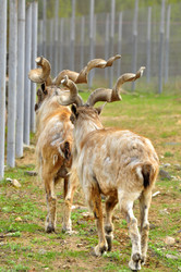 Similar image 22072242