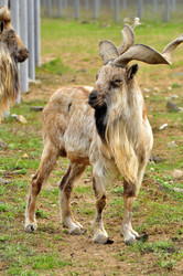 Similar image 22072243