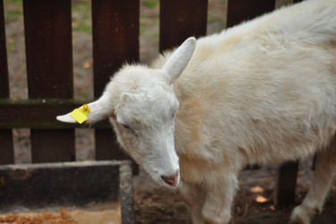 Similar image 22072246