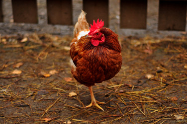 Similar image 22072247