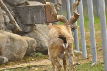 Similar image 22072248