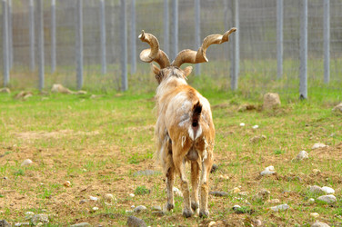 Similar image 22072249