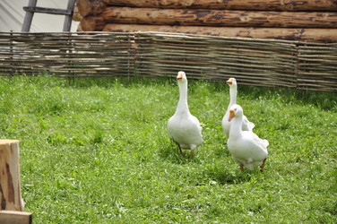 Similar image 22072250