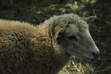 Similar image 22077002