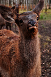 Similar image 22077005