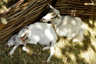 Similar image 22077006