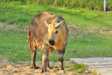 Similar image 22077008