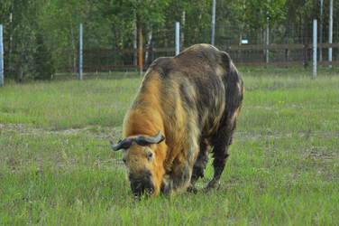 Similar image 22077010