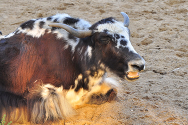 Similar image 22077012