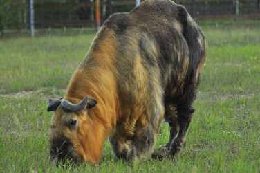 Similar image 22077013