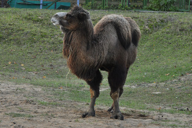 Similar image 22062072