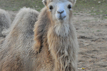 Similar image 22072252