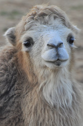 Similar image 22072253