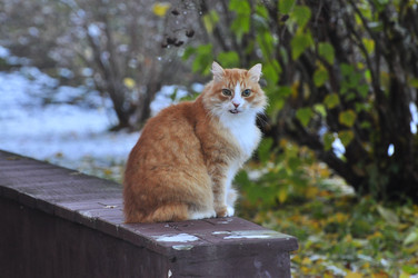 Similar image 22072255