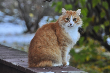 Similar image 22072256