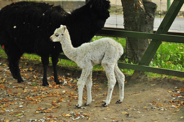 Similar image 22072257