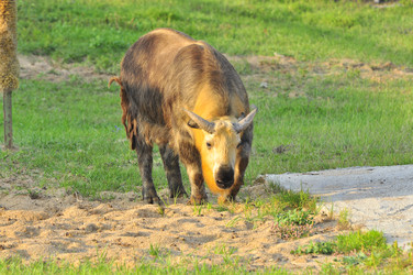 Similar image 22072258