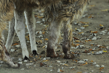 Similar image 22072259