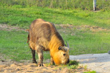 Similar image 22072260