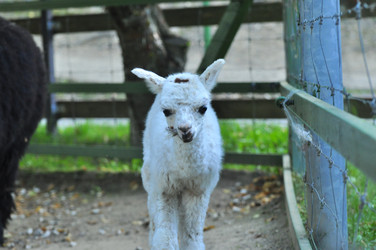 Similar image 22072261