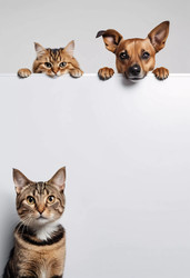 Similar image 22090434