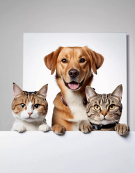 Similar image 22090797