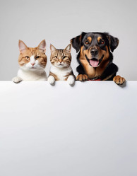 Similar image 22090800