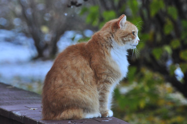 Similar image 22077015