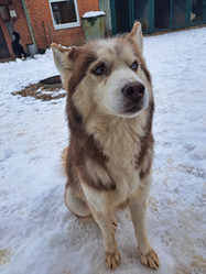 Similar image 22072262