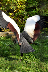 Similar image 22072263