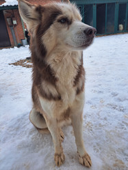 Similar image 22072265