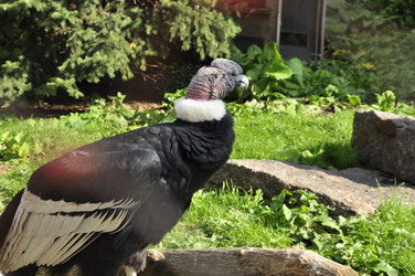 Similar image 22072266