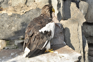 Similar image 22072267