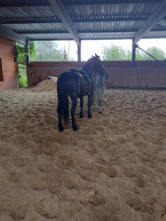 Similar image 22072268