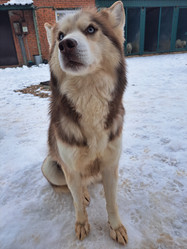 Similar image 22072269